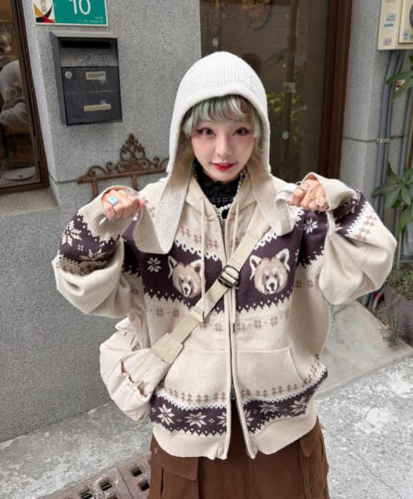 小熊貓與雪山